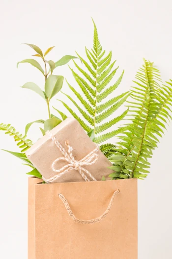 Embracing Eco-Friendly Packaging: The Sustainable Choice for Your Skincare Products