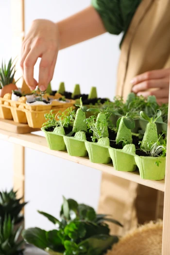 A Guide to Sustainable Lifestyle Choices on How to Live an Eco-Friendly Lifestyle